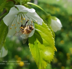 Picture_20190503_120009905