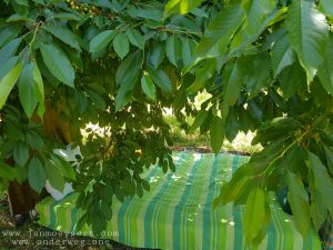 Picture_20190609_130739804
