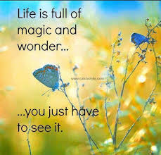 Life is magic