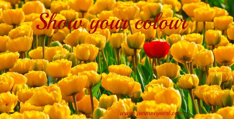 Show your colour